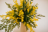 An abundance of artificial mimosa, olive branches and soft grey foliage arranged in a chic off white vase or available as a gift wrapped bouquet.  Perfect for the home or to gift.