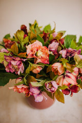 Artificial pink hellebores arranged with foliage into a sleek blush pink vase or available as a gift wrapped bouquet.  Perfect for home or to gift!