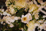Luxury artificial white cosmos, delphinium, agapanthus and chrysanthemums mingled with the highest quality robinia and eucalyptus. Expertly arranged by our team of florists into a choice of white ceramic or green glass vase or available as a beautifully wrapped bouquet.